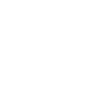 Four seasons logo