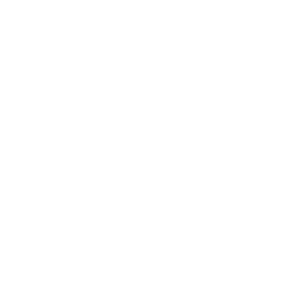 Rays on the river logo