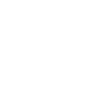 pick 6ix logo