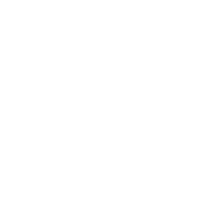 ritz carlton logo
